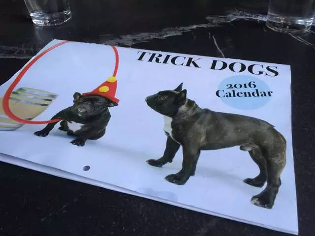 Trick Dog