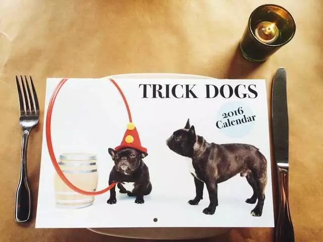 Trick Dog
