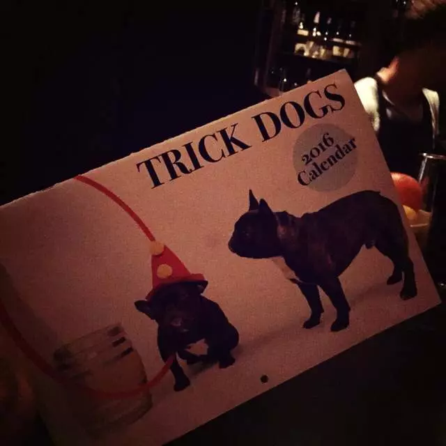 Trick Dog