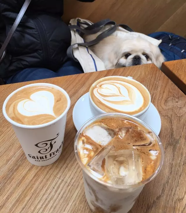 Saint Frank Coffee