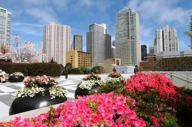 Americas Best Value Inn & Suites - SoMa
