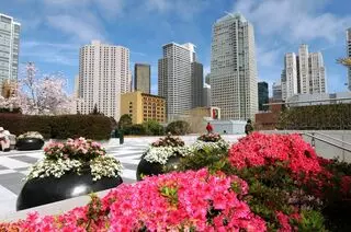 Americas Best Value Inn & Suites - SoMa