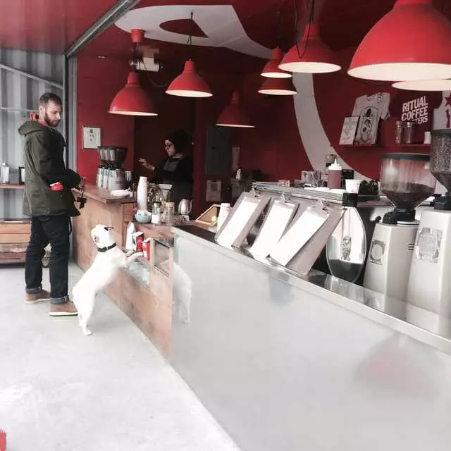 Ritual Coffee Roasters