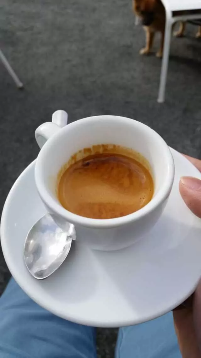 Ritual Coffee Roasters