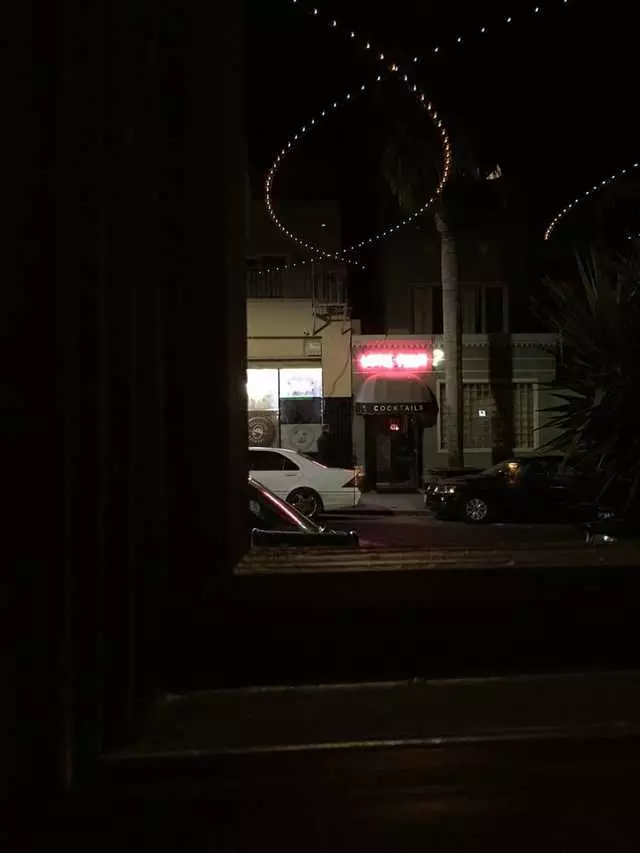 Lone Palm