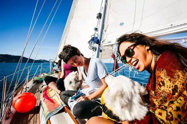 Alchemy Sailing Adventures
