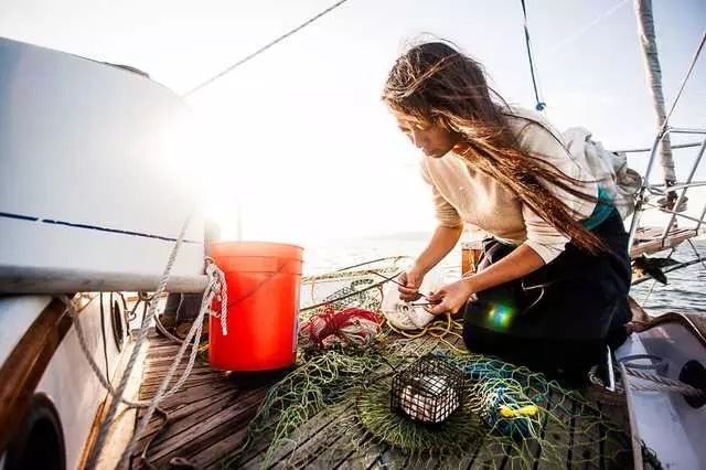 Alchemy Sailing Adventures