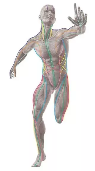 Plava Bodyworks