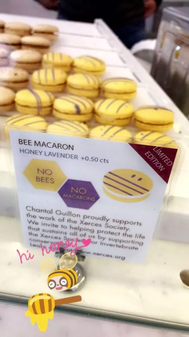 Chantal Guillon Macarons