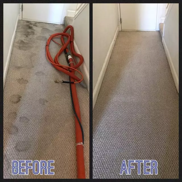 Alex’s Carpet Cleaning