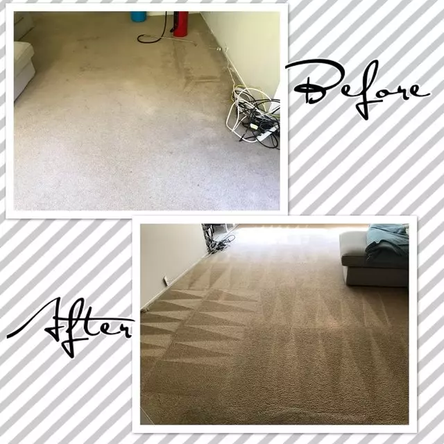 Alex’s Carpet Cleaning