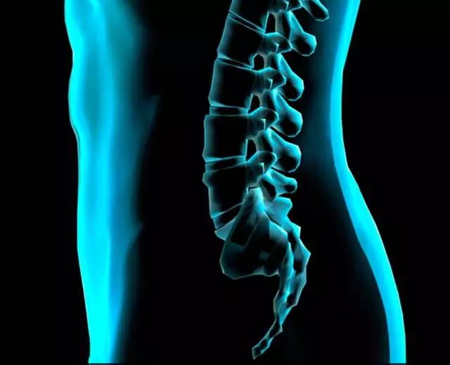 Mina Doulabi - Posture Guru