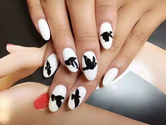 Andy’s Nail Spa