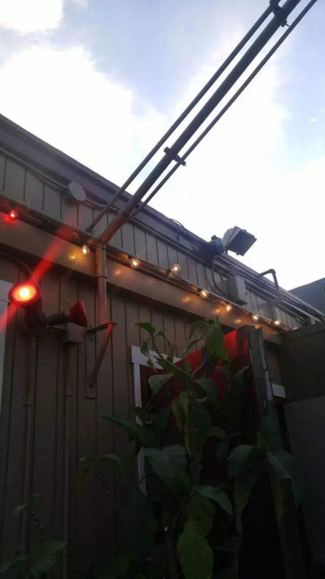 Mars Bar & Restaurant