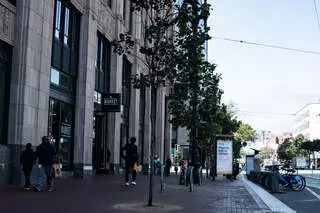 The Market