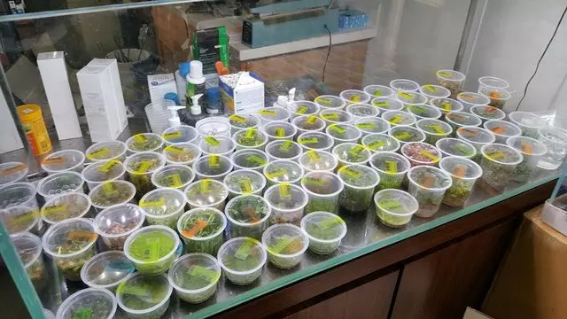 Aqua Forest Aquarium