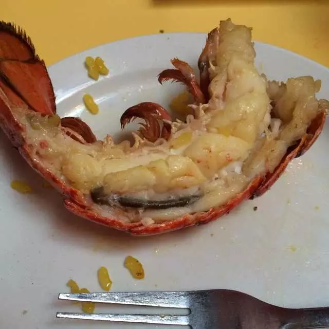 Picaro