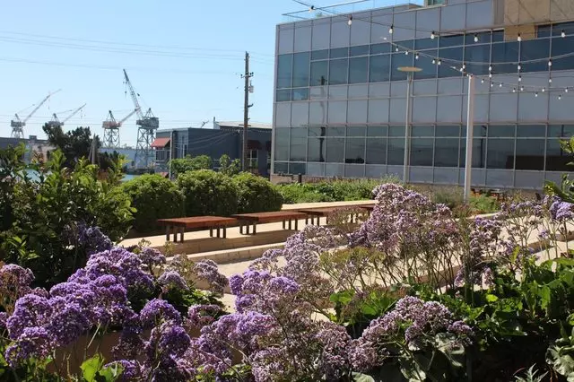 Antonia Bava Landscape Architects