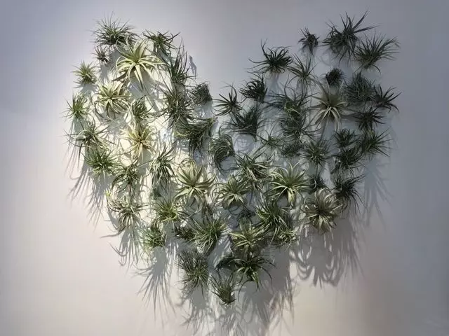 Amour Vert