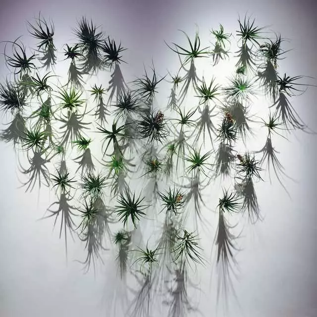Amour Vert