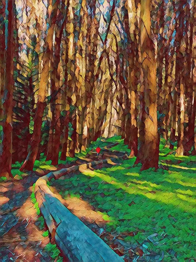 Andy Goldsworthy’s Wood Line