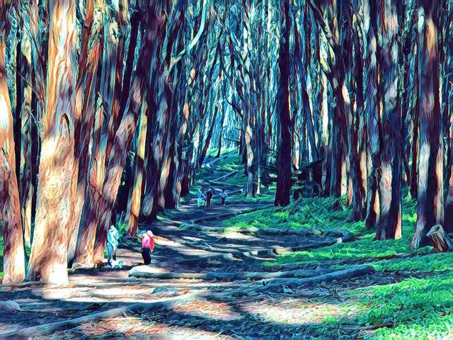 Andy Goldsworthy’s Wood Line