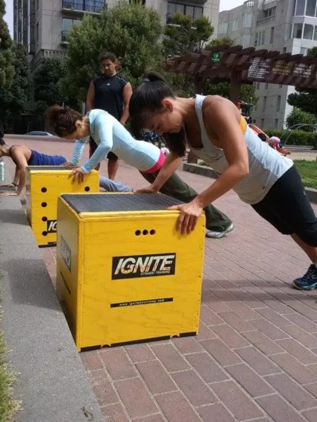 IGNITE Dynamic Training