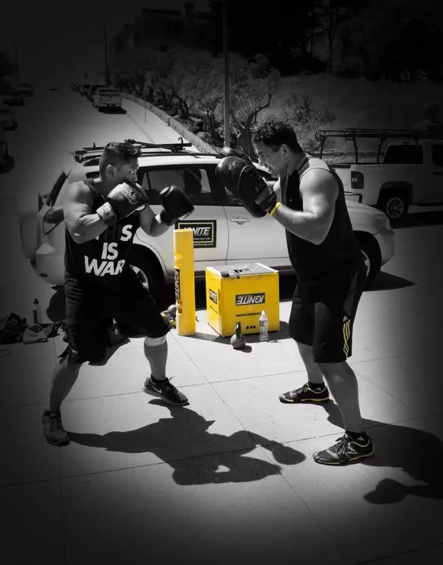 IGNITE Dynamic Training