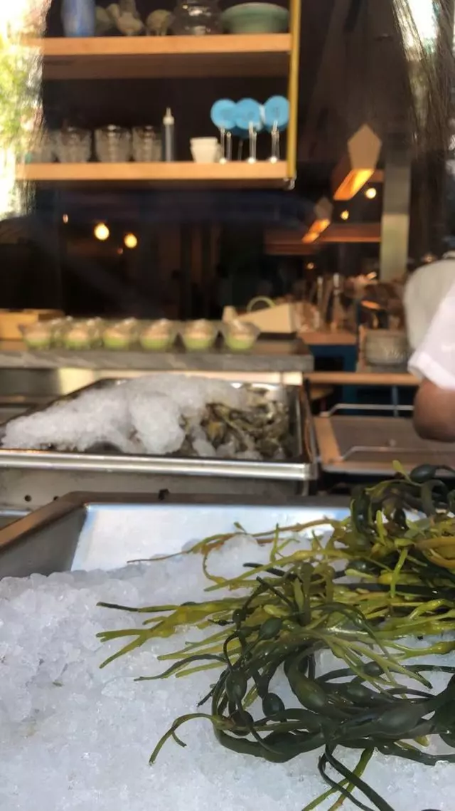 State Bird Provisions