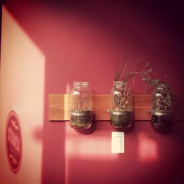 Stanza Coffee Bar