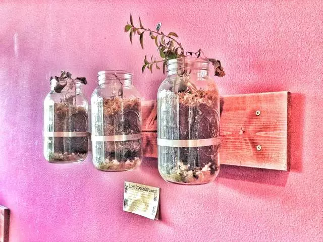 Stanza Coffee Bar