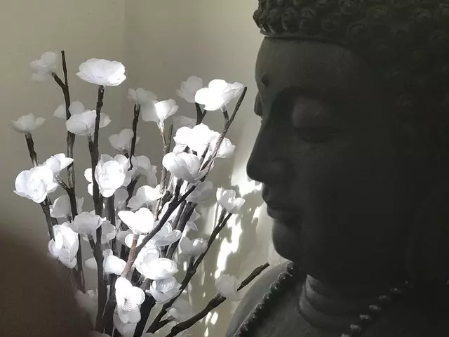 Acupuncture Works - Carol Francois