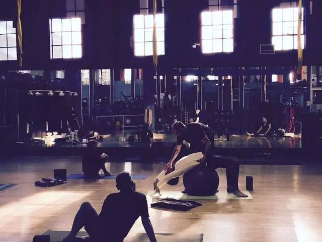 David Mayer Fitness