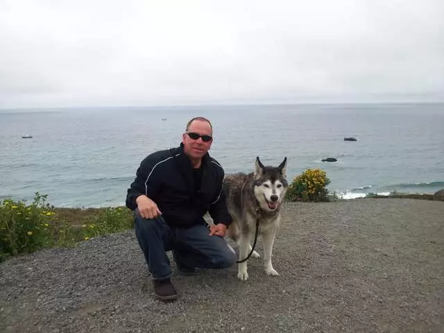 ABC Dogs