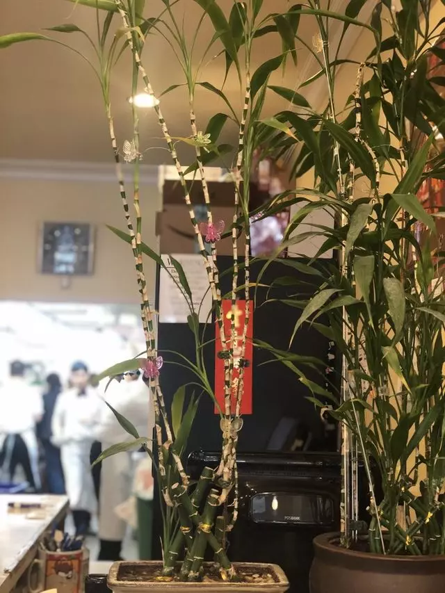 San Tung