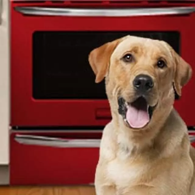 Advantage Appliance Services