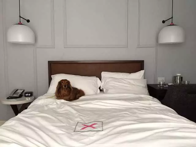 Axiom Hotel