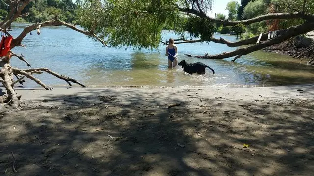 Leash Loverz