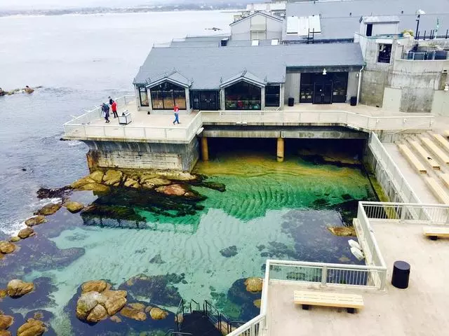 Aquarium Of The Bay