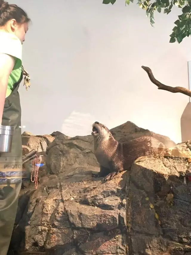 Aquarium Of The Bay