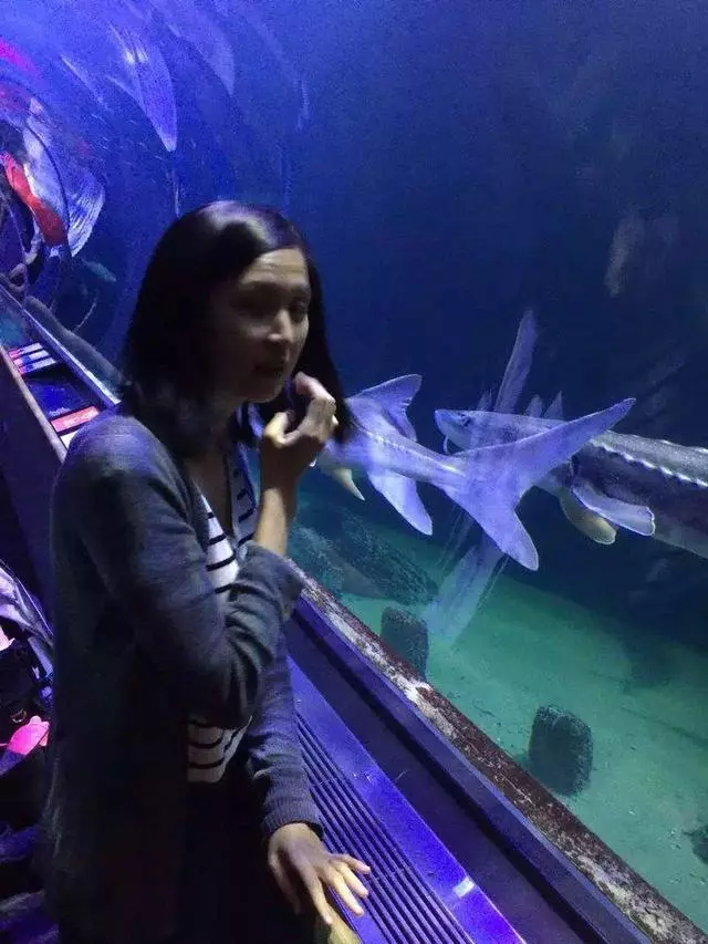 Aquarium Of The Bay