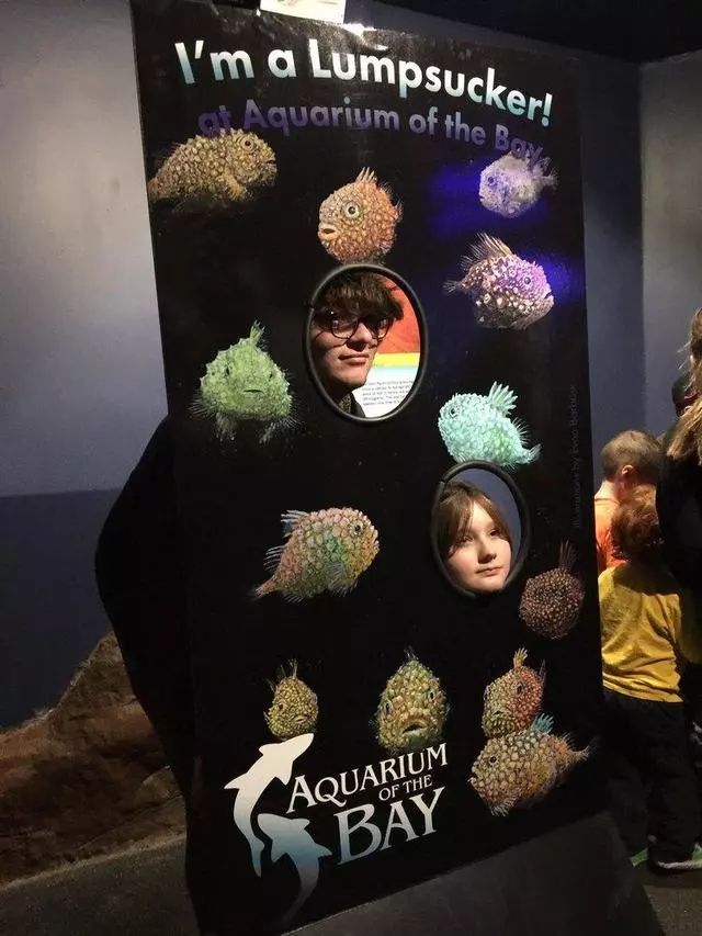 Aquarium Of The Bay
