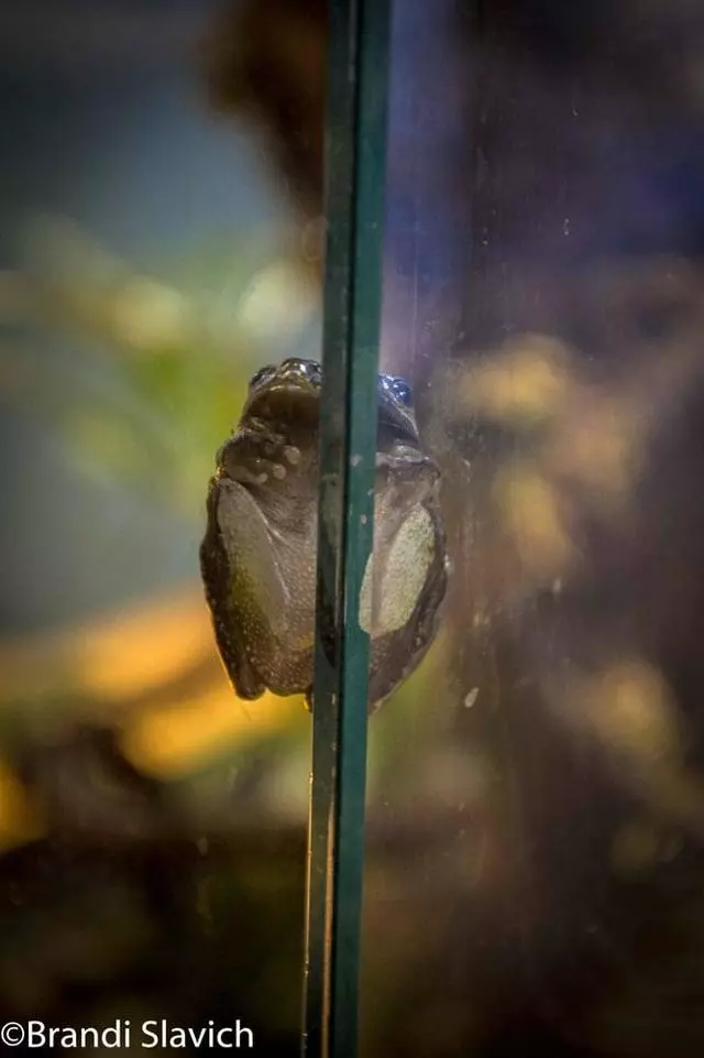 Aquarium Of The Bay