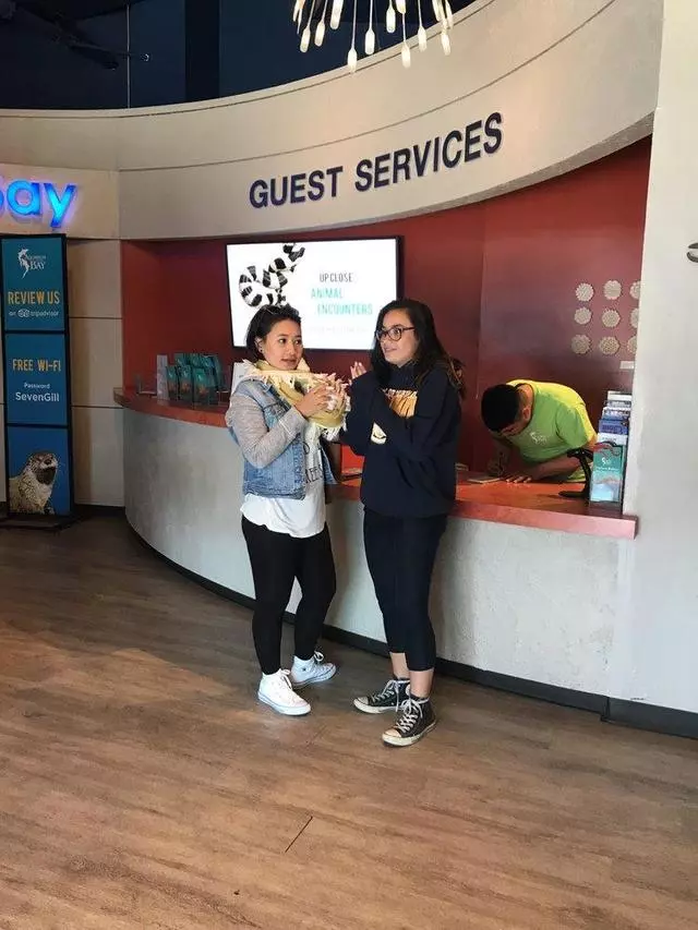 Aquarium Of The Bay