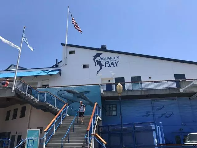 Aquarium Of The Bay