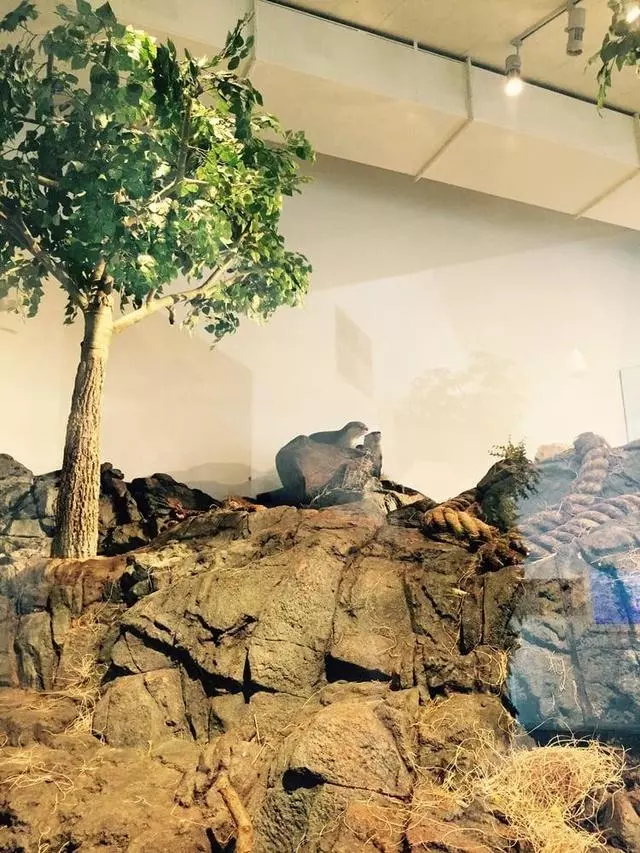 Aquarium Of The Bay