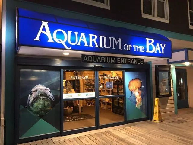 Aquarium Of The Bay