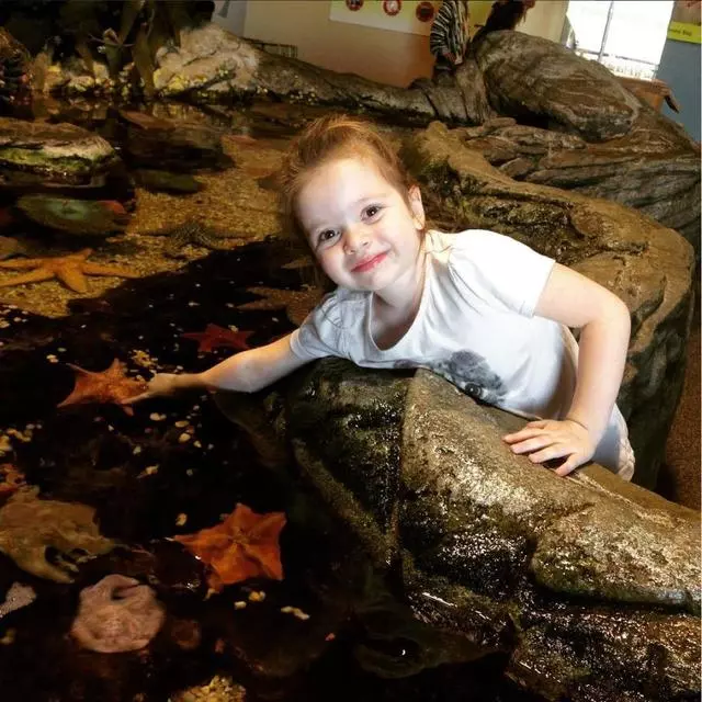 Aquarium Of The Bay
