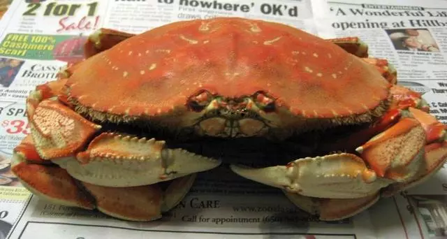 2227 Irving Seafood Market