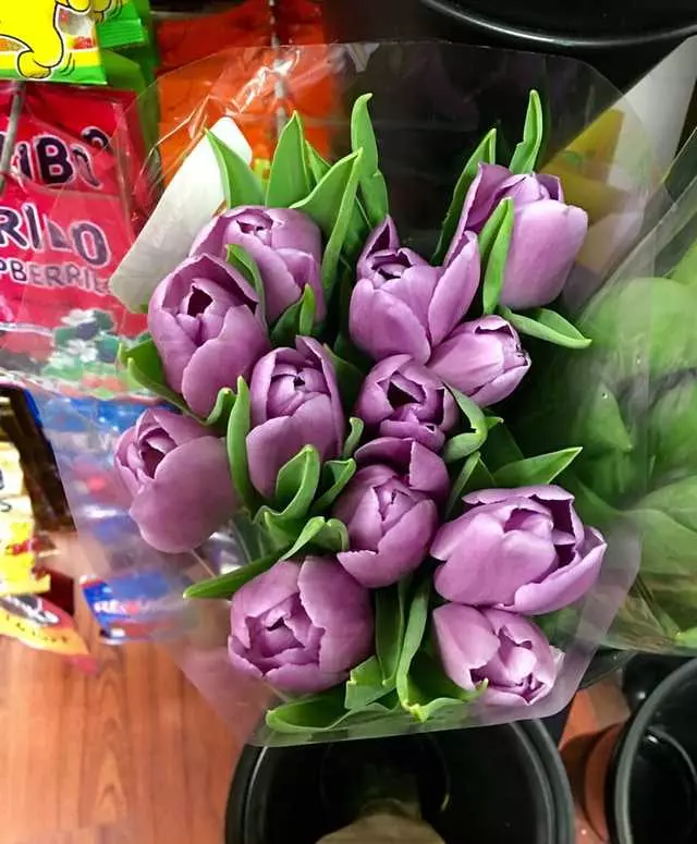 Cindy’s Market